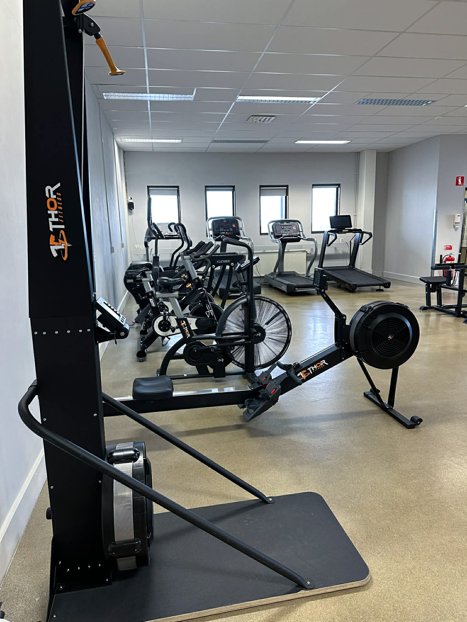 Roddmaskiner, air bike och löpband vid fönstren